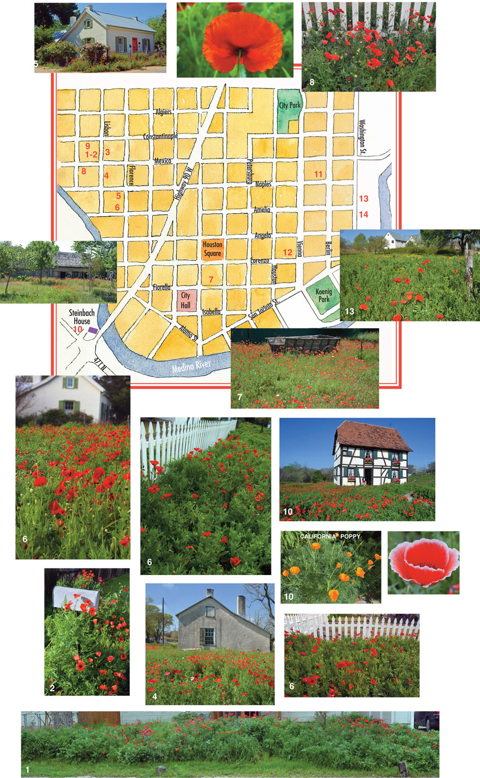 Map for Poppy Tour in Castroville, Texas