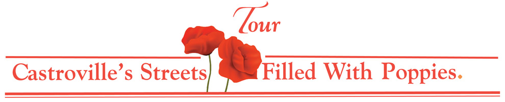 Texas Poppy Tour in Castroville, Texas